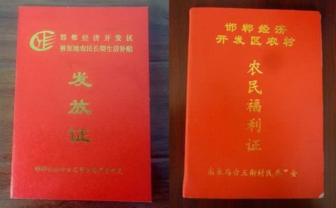 村集体经济规划_集体经济收入(3)
