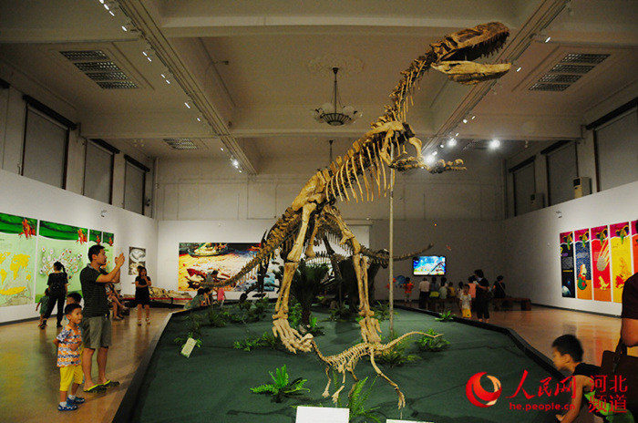 暑假去哪儿玩?河北博物院里漫游恐龙的世界(图