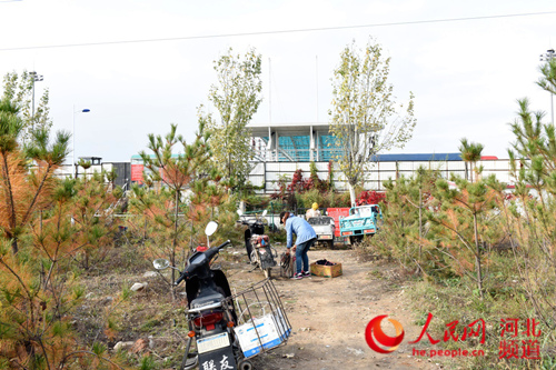 河北一高速收费站广场现村民兜售水果 存安全