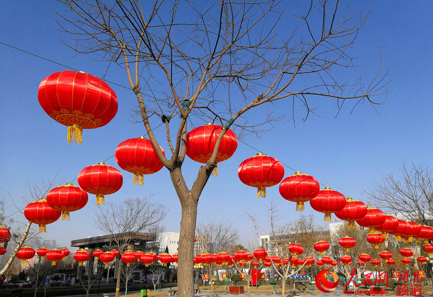 图为鹿泉区市政广场上红火的灯笼装饰出浓浓的年味.李晓 摄