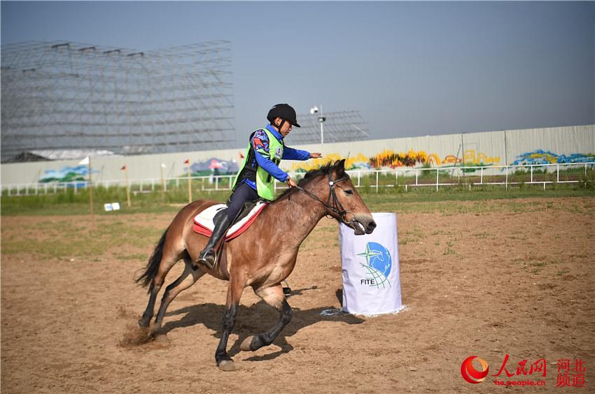 图为京津冀马术比赛在张家口张北县举行。