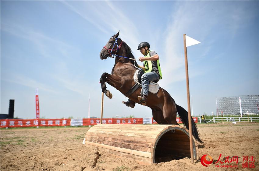 图为京津冀马术比赛在张家口张北县举行。