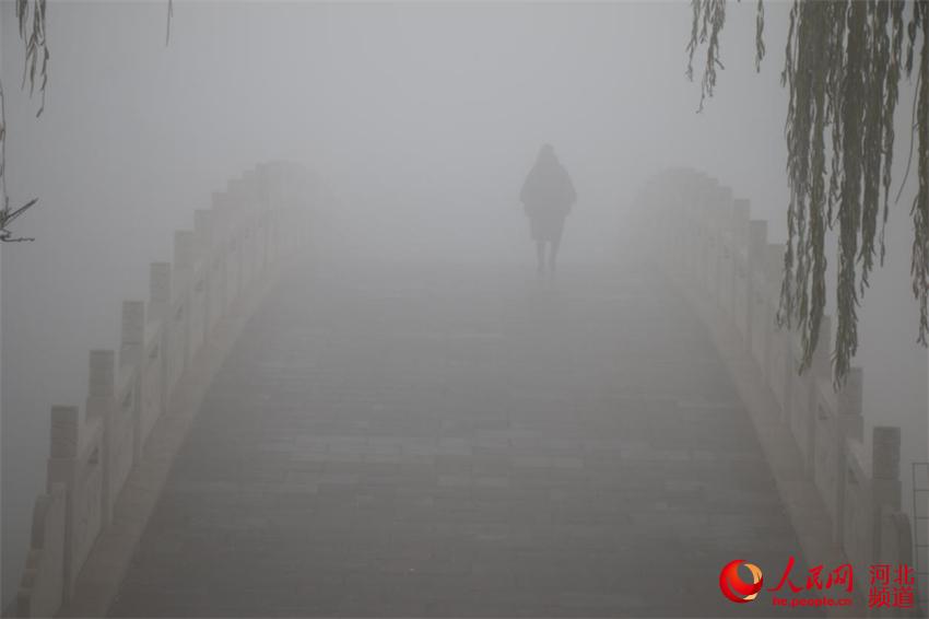 【图片直击】大雾来袭! 河北等多地局地能见度不足50米