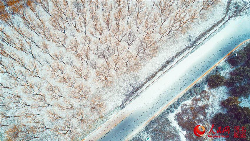 12月15日，太行山城河北涉县普降小雪，带来一片纯净世界，遍地银装素裹，宛如一幅水墨画卷。图为12月15日，涉县县城公园（无人机拍摄）。杨彦忠