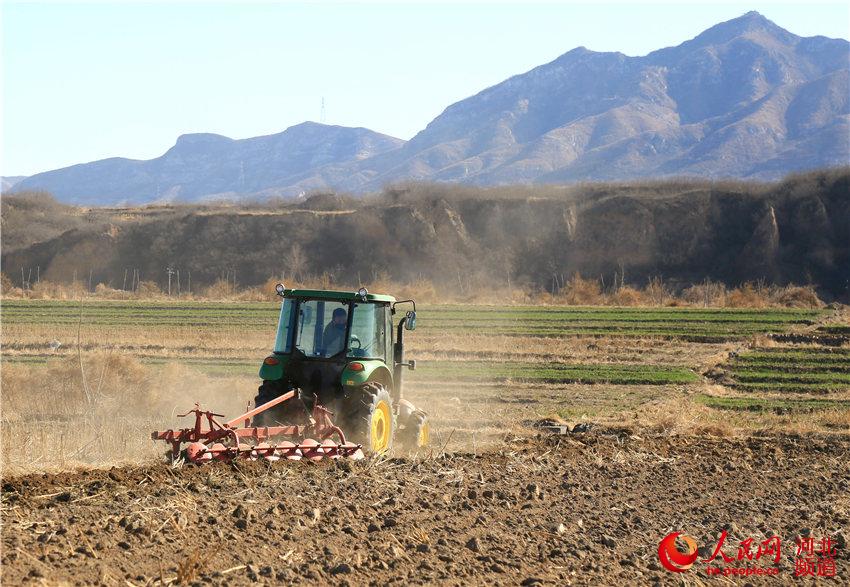 2月16日，河北省武安市伯延镇杨二庄村的农民正驾驶农机翻耕土地。 胡高雷摄