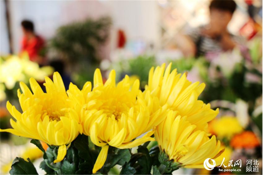 4月1日，河北省廣平縣一家花店祭奠類花卉俏銷。 程學虎攝