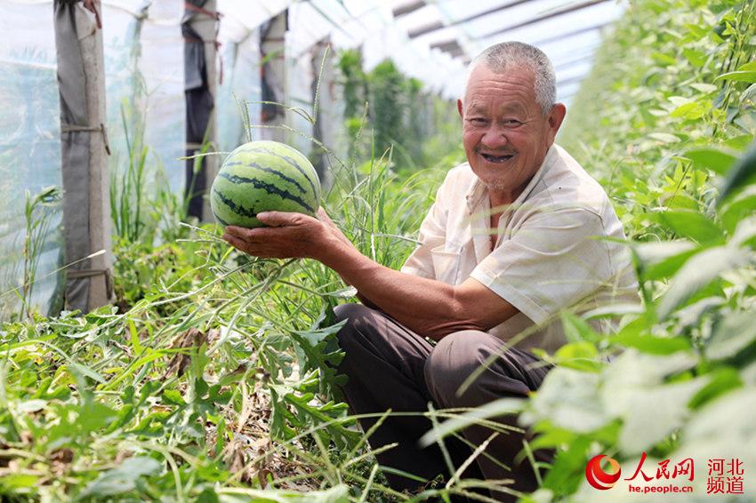村民種植的西瓜喜獲豐收。 姚友諒攝