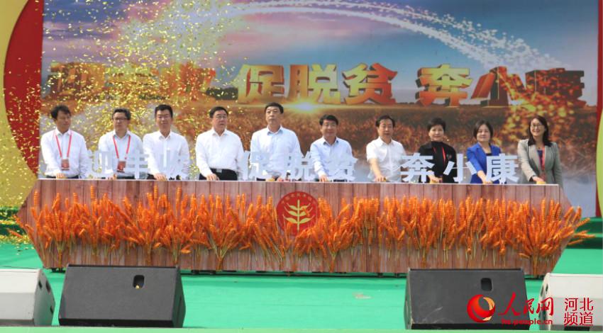 2020年中國農民豐收節河北慶祝活動開幕現場。 田巧梅攝