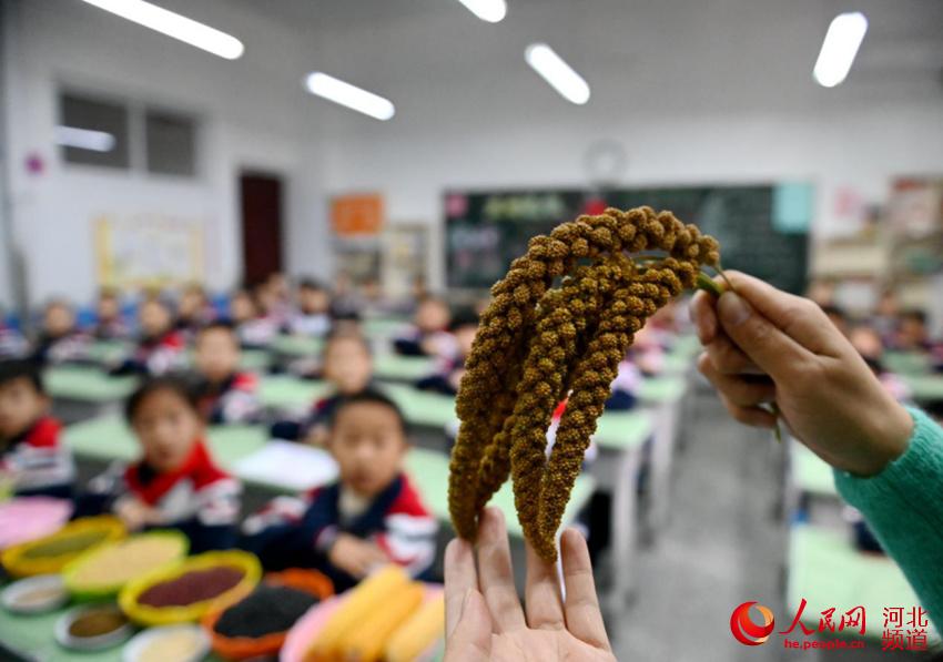 10月15日，邯鄲市邯山區農林路小學開展“愛糧食，從我做起”主題教育活動。 周紹宗攝