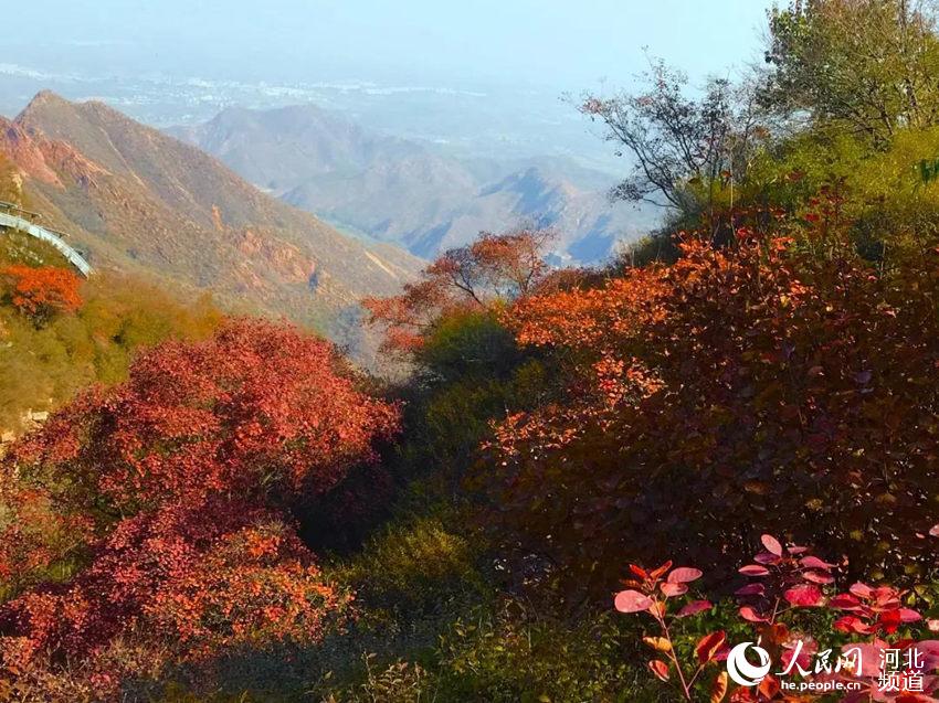 紅崖谷的秋——太行特有的靚麗風景。 石家庄文旅局供圖
