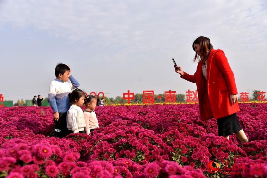 邯鄲市肥鄉區第四屆菊花節吸引游客前來游玩。 楊海斌攝