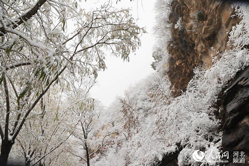 河北省邢台市雲夢山雪景。 燕立濤攝