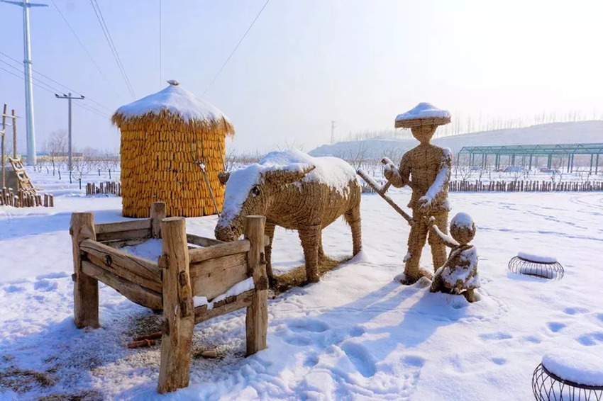 華中小鎮：銀裝素裹 雪景美如畫【10】