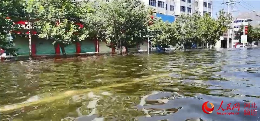 衛輝市內水位上漲，最深處達兩到三米。 人民網 張繼航攝