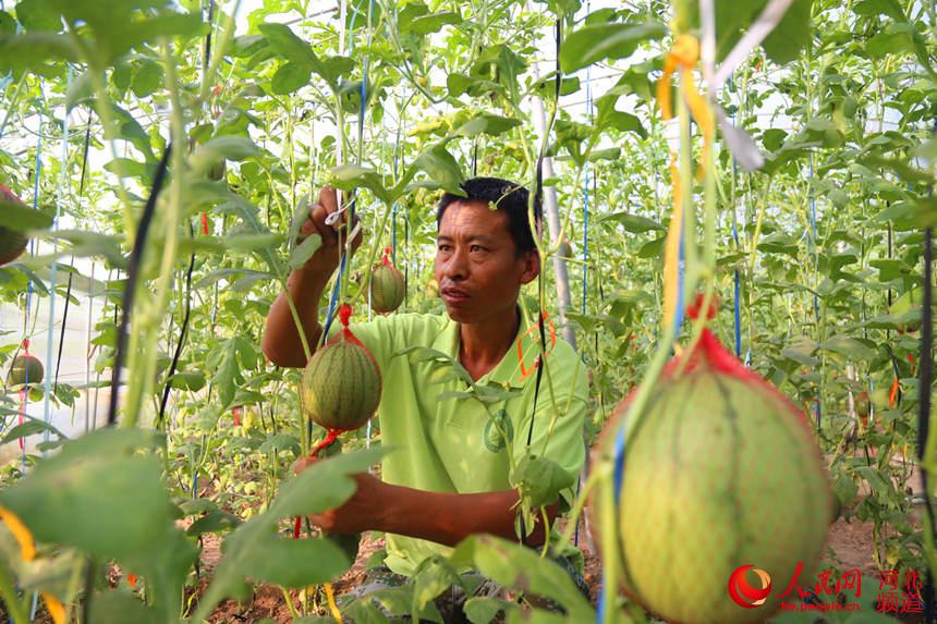 ���գ����ش����ںӼ��з��ׯ��Ĵ����������� ��������