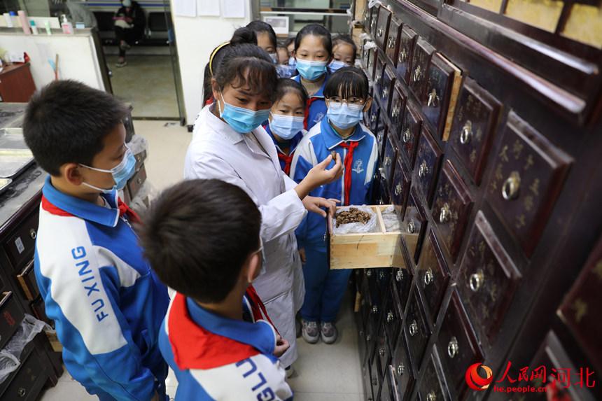 在邯郸市复兴区中医院，中医医师在教学生学习认识蝉蜕、砂仁等中草药。王伸摄