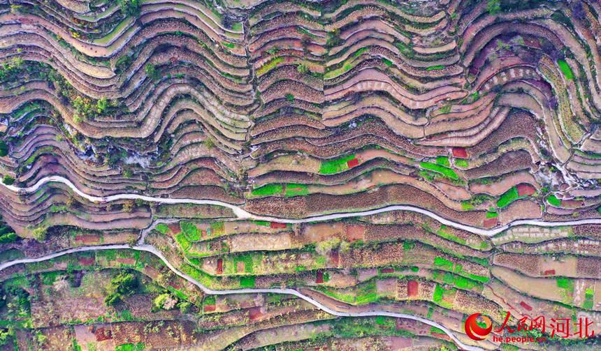 图片直击河北涉县秋日太行梯田别样美