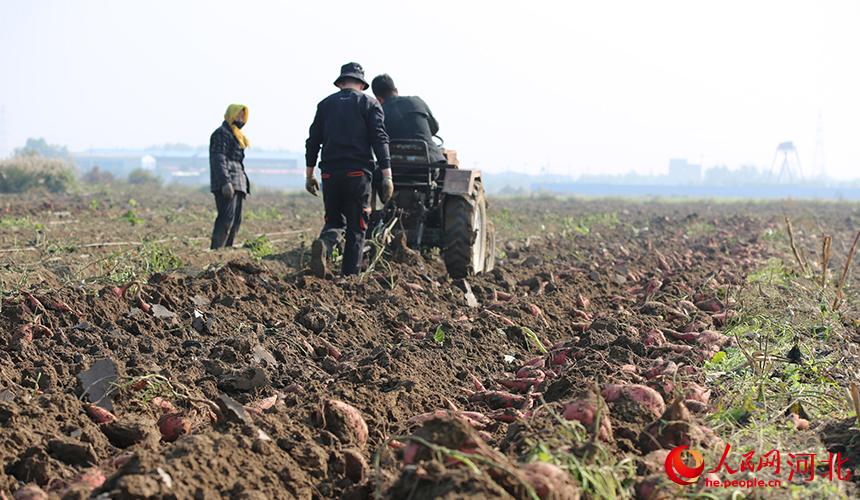 �ϴ���������ظ�կ����կ������ջ� ��������