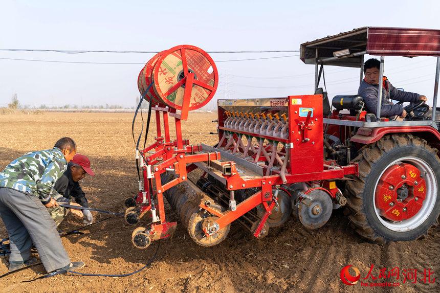 南宫市大高村镇村民正在安装滴灌带。 王林摄