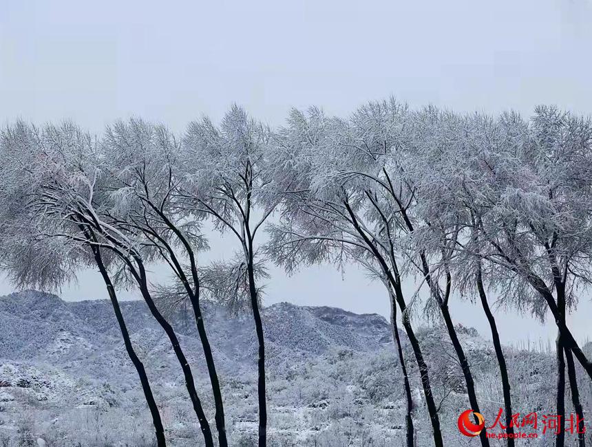 �ӱ�������Ӫ����֦��װ�ع��� ʷΡȻ��