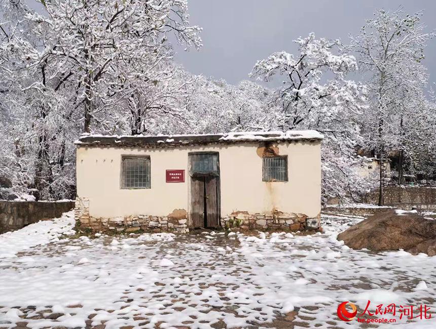 ���켽������ʳ�þ�ַ�� �������