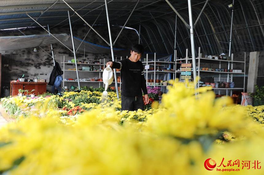 11��11�գ��ӱ�ʡ�Ӽ������ִ�ũ���ھջ��������������� ��Ҷ��