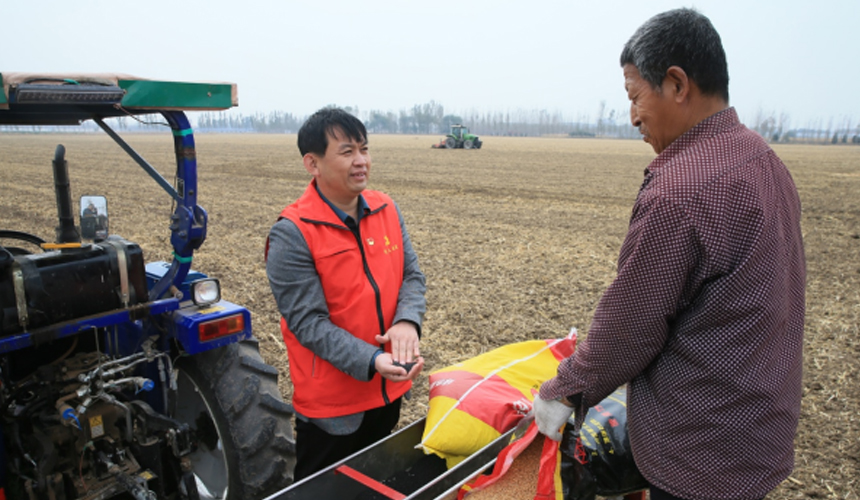 在文安縣興隆宮夏村，當地農技專家萬久興正在給農民講解小麥播種技術要點。 陳有柱攝