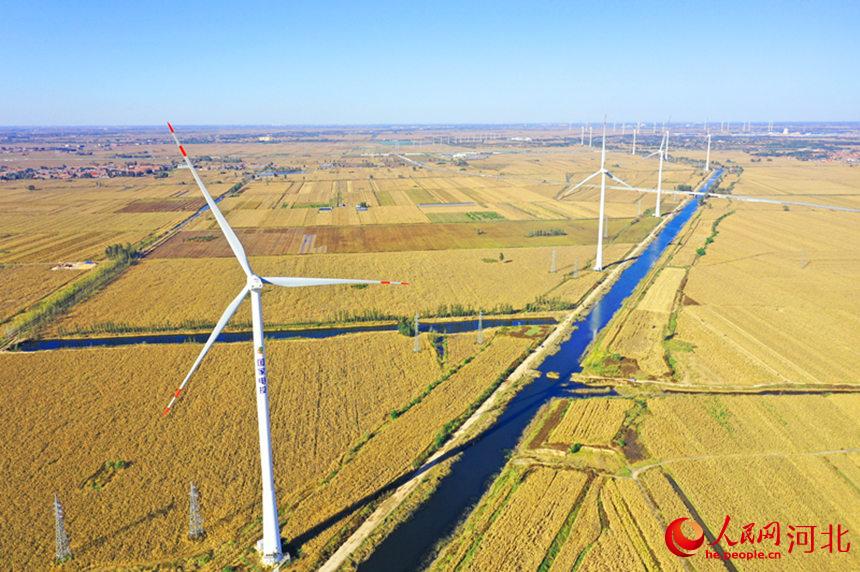 大城经济开发区现代制造业工业园安庆屯干渠附近的风力发电设备。 贾�B摄