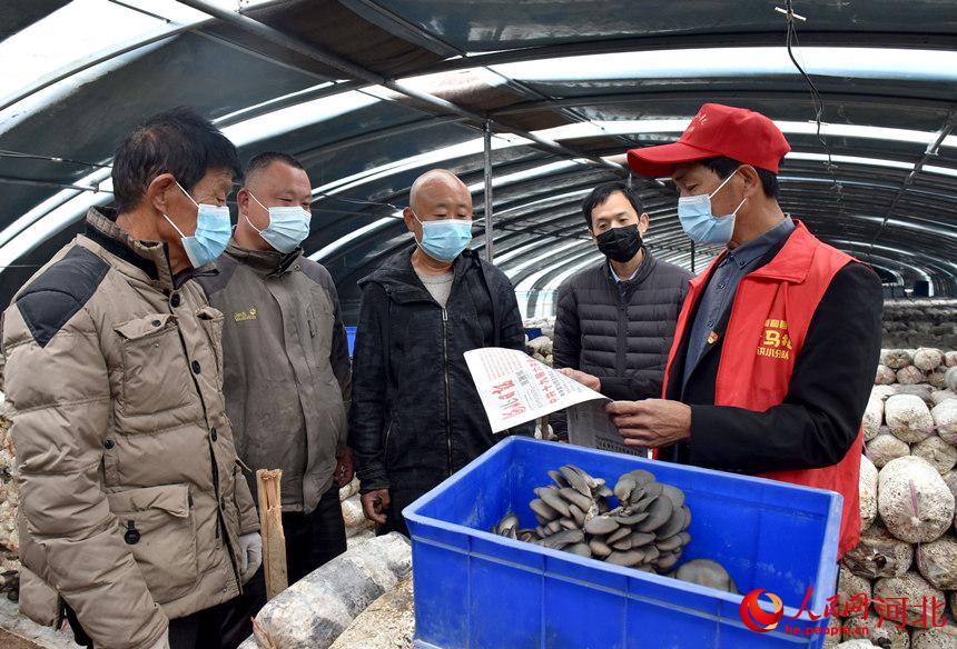 “小馬扎”宣講小分隊在南和區河郭鎮刁庄村蘑菇大棚內為菜農宣講黨的十九屆六中全會精神。 邱洪生攝
