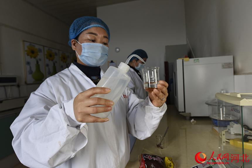 在文安縣黃甫農場一家糧油加工企業實驗室，工作人員正在檢測豆沙餡糖分含量。 鄭佳慶攝