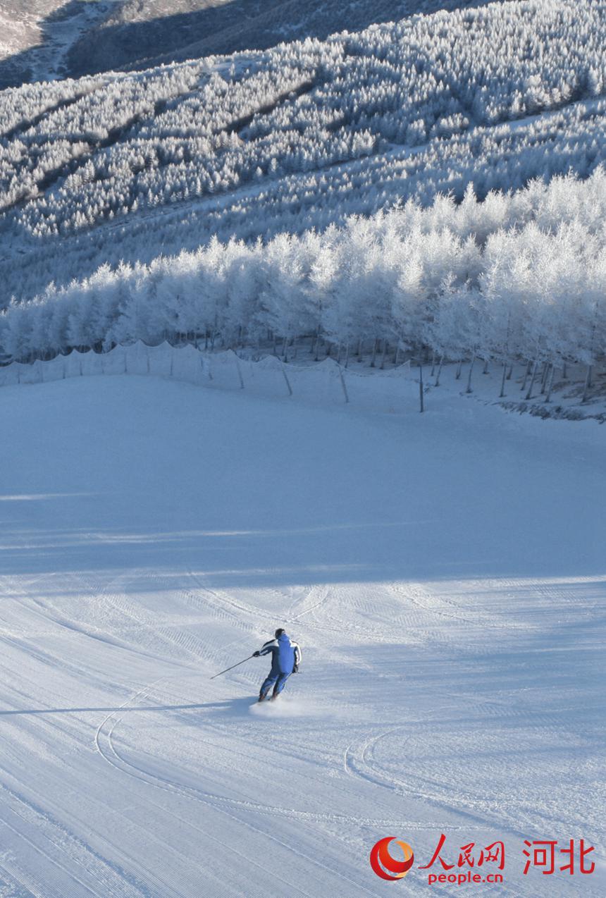 张家口崇礼，滑雪爱好者在享受冰雪激情。 河北省文化和旅游厅供图