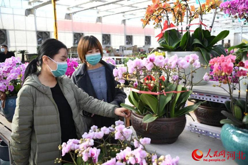 永清縣鮮花市場，顧客選購鮮花。劉欣羽攝