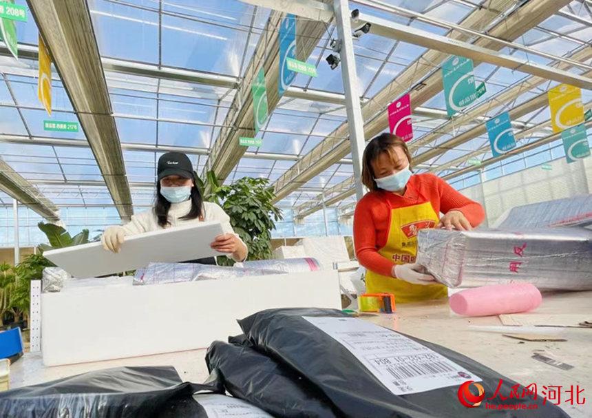 永清縣鮮花市場，，花商正在打包、出售鮮花。劉欣羽攝