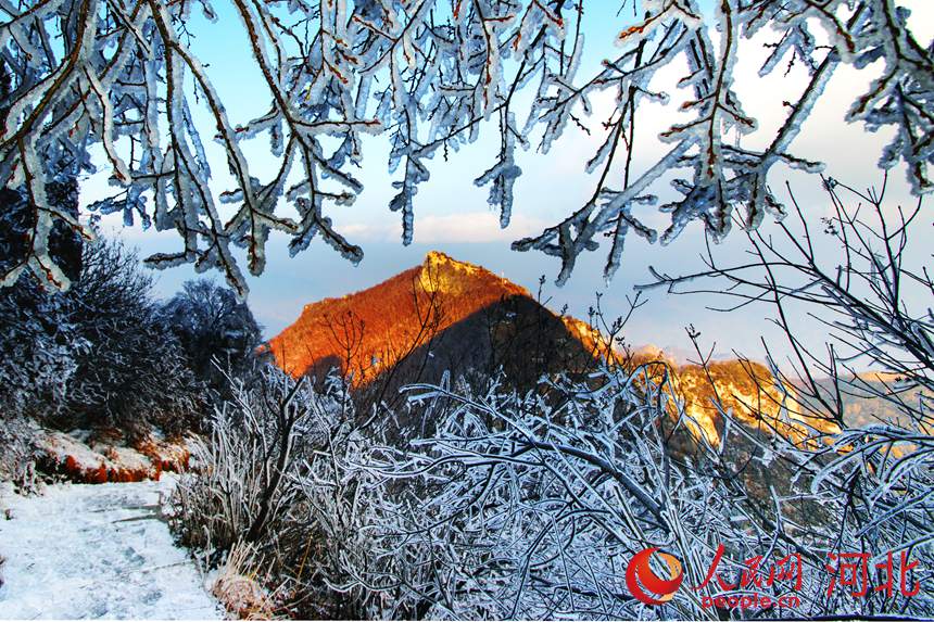 12月24日，河北省保定白石山雪后美景。 申东明摄