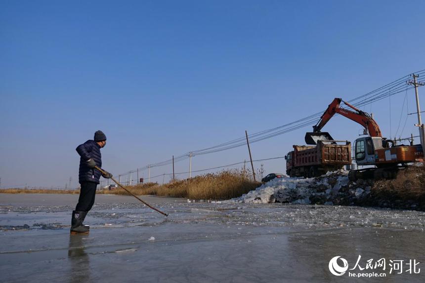 河北省唐山市豐南區黑沿子鎮的漁民在冰凍的河面上取冰。崔光攝