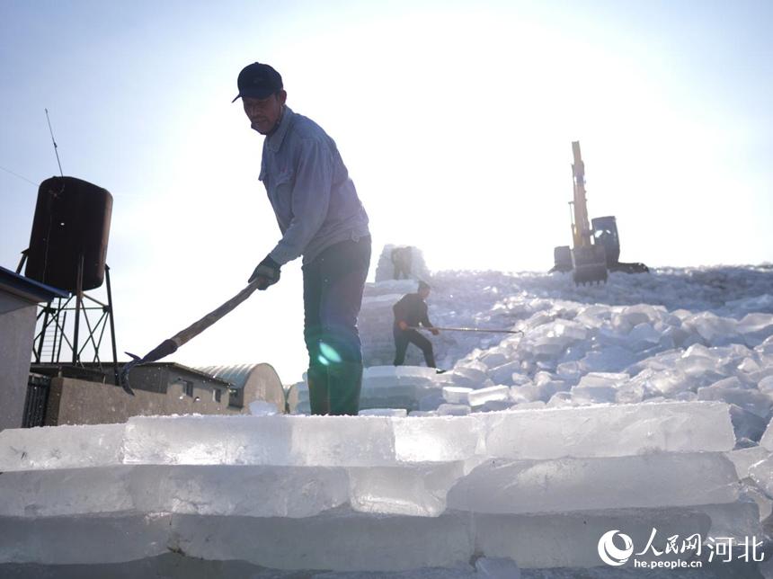 河北省唐山市豐南區黑沿子鎮的漁民在存儲採集的冰塊。崔光攝
