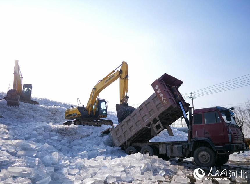 河北省唐山市豐南區黑沿子鎮的漁民在存儲採集的冰塊。崔光攝