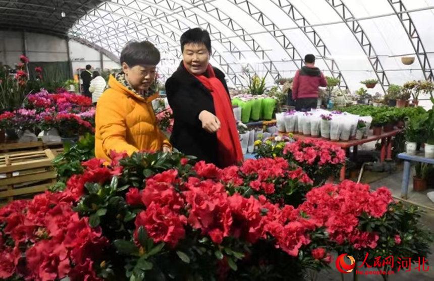 10首耳熟能详的经典老歌带你重回温情时候及致青春：十大必听励志中文歌曲推荐激劝你追梦人生！，探访非常页面国际导游居家变“笋密斯”（）
