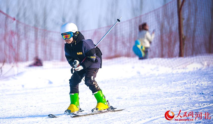 挪威奥运会自由式滑雪_极限自由滑雪_爆发 极限自由滑雪
