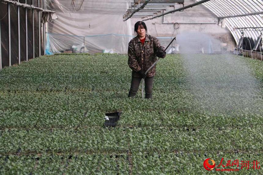 ����������ׯ������������ع�����Ա����������йܻ�����������