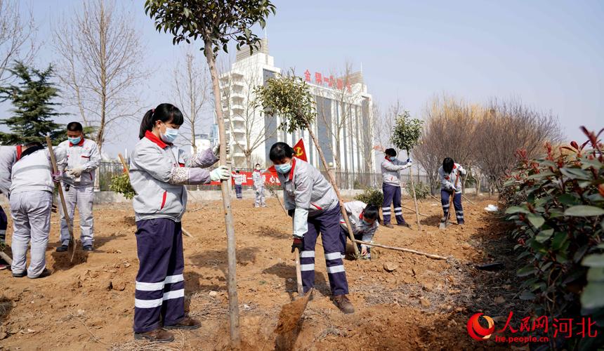 邢台金隅职工在石邢公路沿线植树。 宋继昌摄