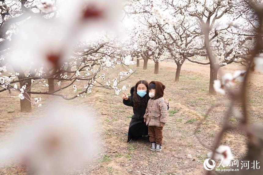 2022年3月16日，一对母子在河北省巨鹿县元泽路杏花园内赏花、游玩。 马羚摄