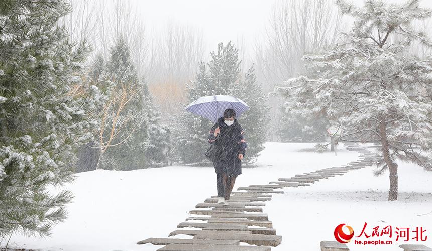 市民在雪中漫步，盡賞雪景。白天龍攝
