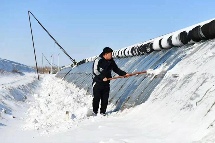 大城縣孫河村秋立農業合作社職工在清除棚頂積雪。 鄭留紀攝