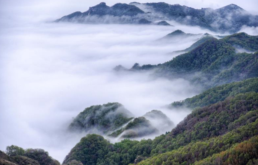 驼梁国家级自然保护区。 戎喜民摄