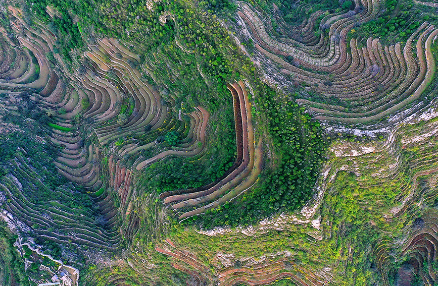 美丽壮观的涉县旱作石堰梯田（无人机拍摄）。涉县县委宣传部供图