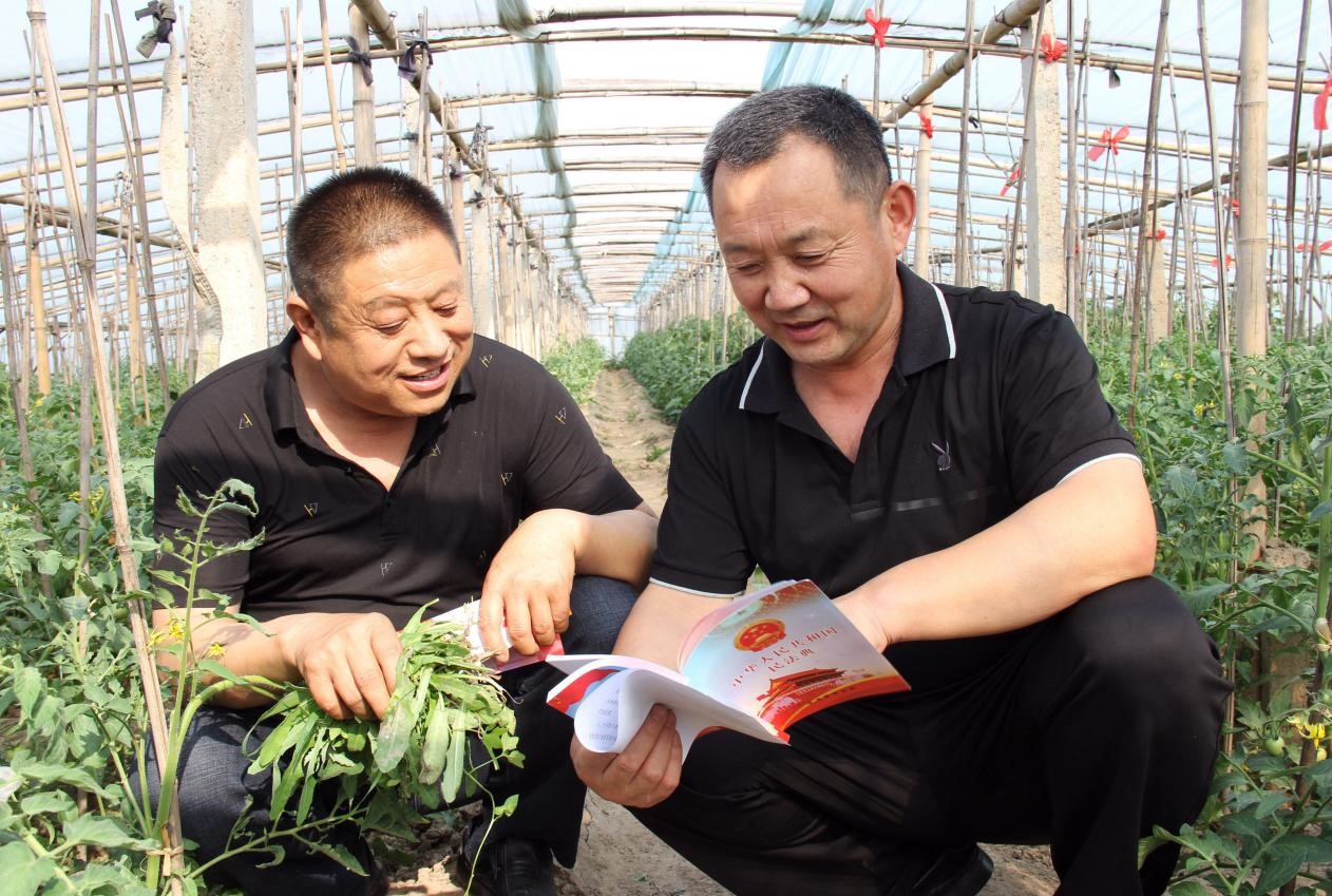 宣讲人员（右一）走进东光县于桥乡蔬菜大棚为村民解读建设用地使用权和宅基地使用权。 张金元摄