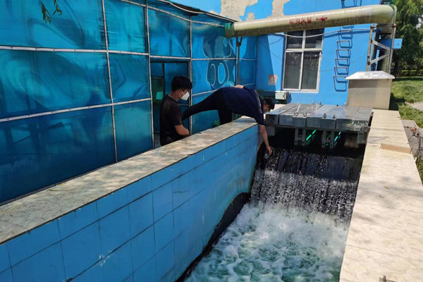邯鄲市雞澤縣藍天污水處理廠員工正在出水口進行水質檢測。鄭佳欣攝