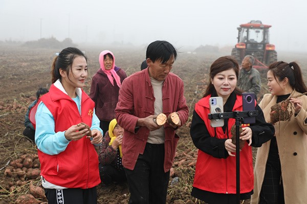愛心助農直播團隊在韓集鎮圓夢農場直播銷售紅薯。 鹽山縣文明辦供圖