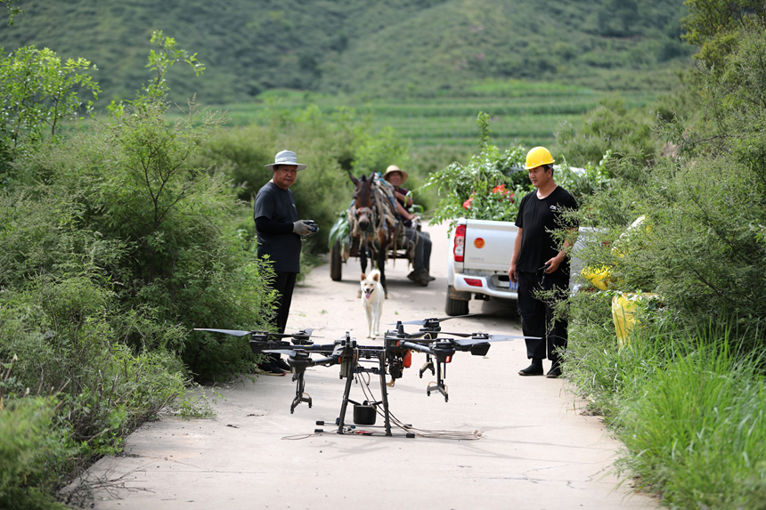 7月19日，在石家庄市井陉县吴家窑乡长峪村荒山造林现场，一名无人机手操控无人机。王保龙摄